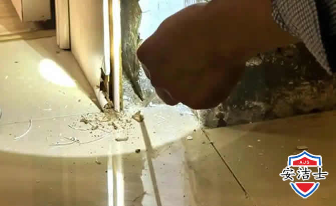 白沙房屋建筑防治白蚁