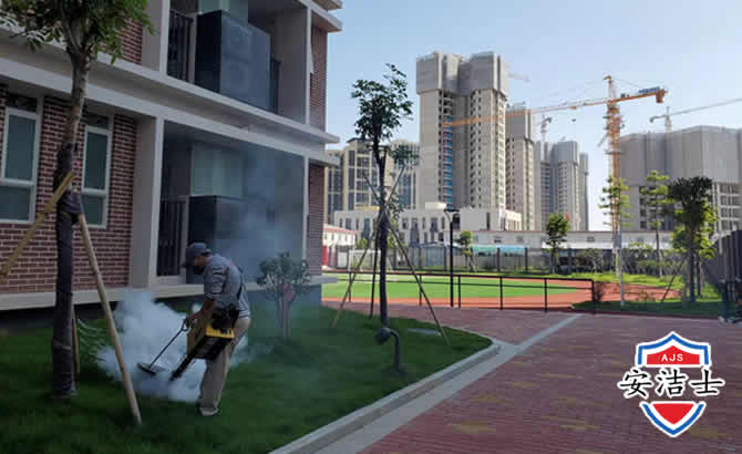 白沙工厂工地除白蚁