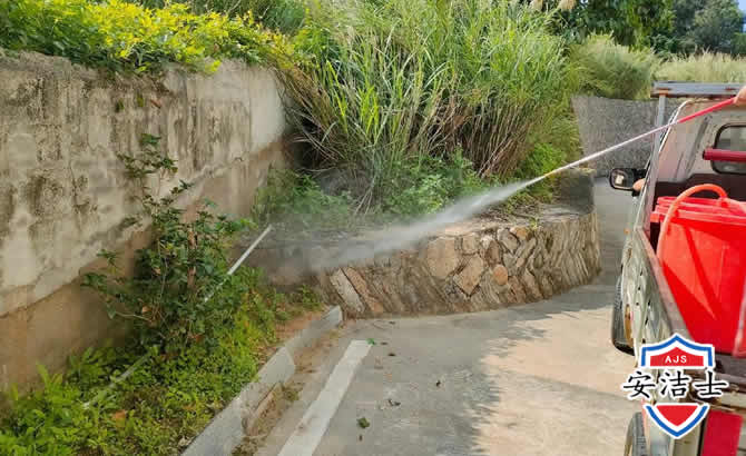 白沙道路堤坝白蚁防治
