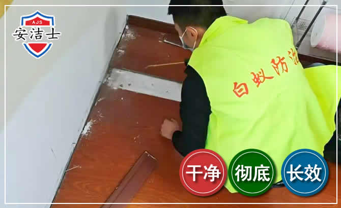 白沙除四害现场