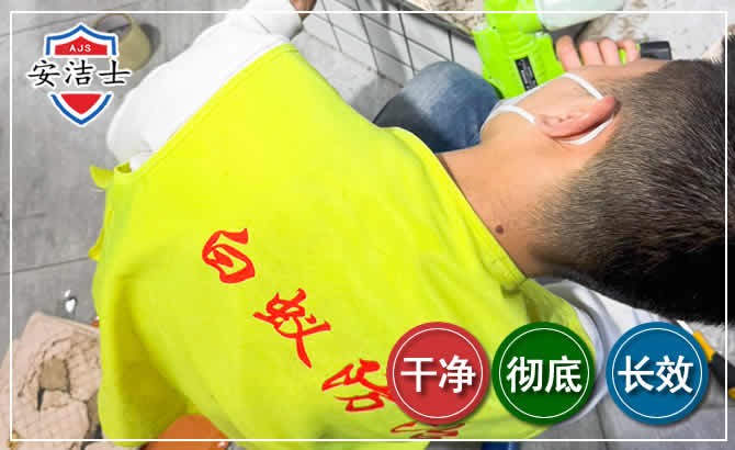 白沙白蚁根治现场